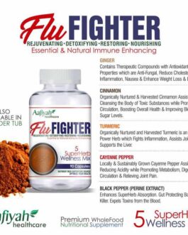 FLU FIGHTER